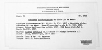 Image Associated With the Occurence